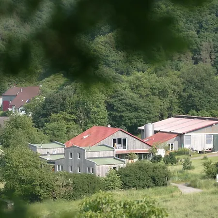 Ferienwohnung Rech Hof Urlaub auf dem Gnadenhof Schalkenbach Exterior foto