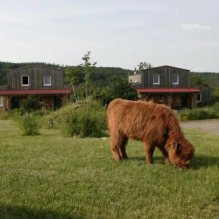 Ferienwohnung Rech Hof Urlaub auf dem Gnadenhof Schalkenbach Exterior foto