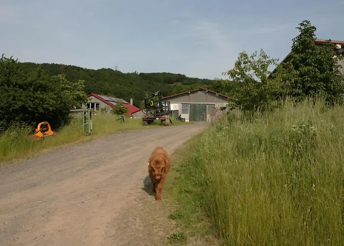 Rech Hof Urlaub Auf Dem Bauernhof