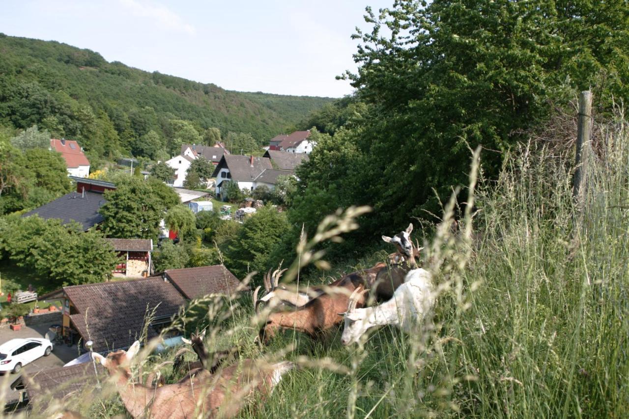 Rech Hof Urlaub Auf Dem Bauernhof * Schalkenbach